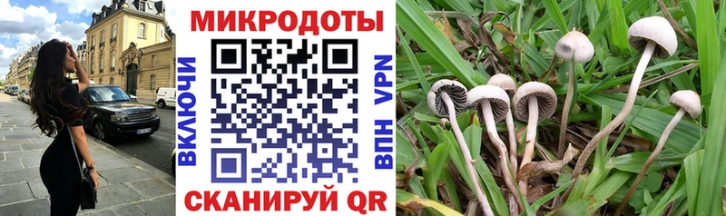 как найти закладки  Отрадное  Галлюциногенные грибы Magic Shrooms 